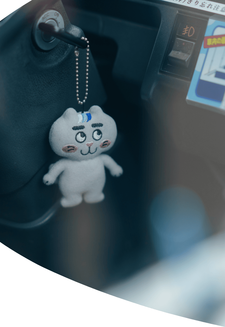 鹿児島と南国交通